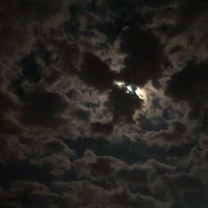 Meet your Posher, Rdawg